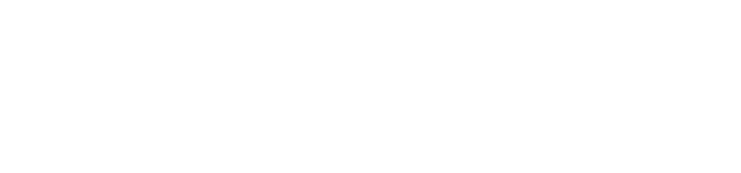 DesiPass